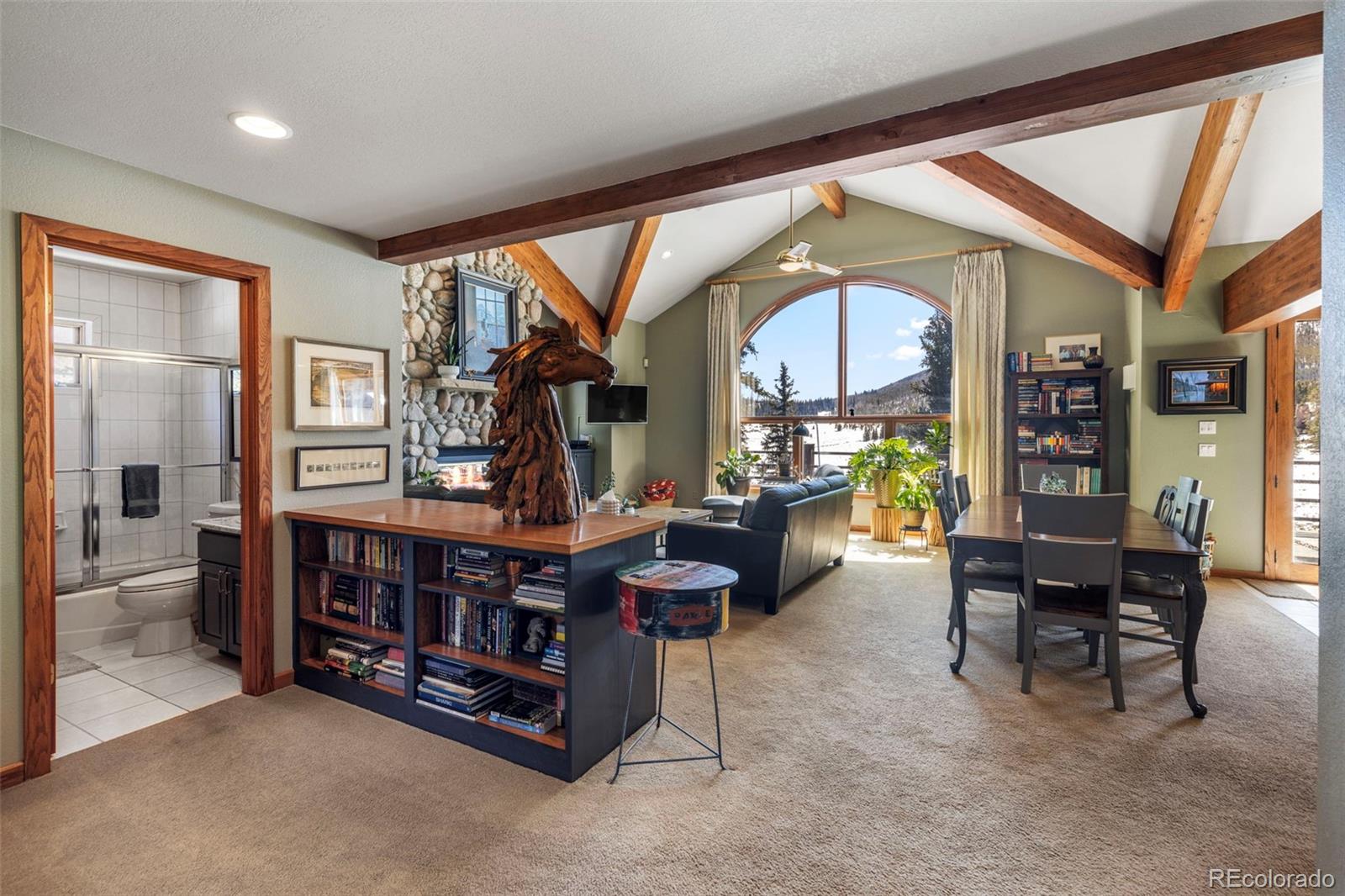 MLS Image #21 for 46  potentilla lane,keystone, Colorado