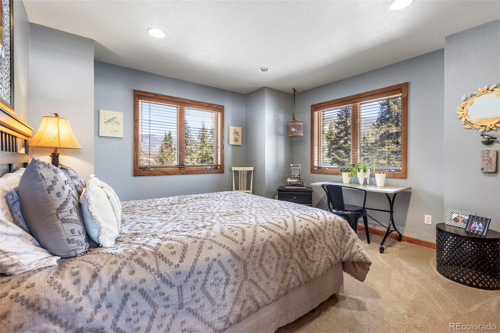 MLS Image #23 for 46  potentilla lane,keystone, Colorado