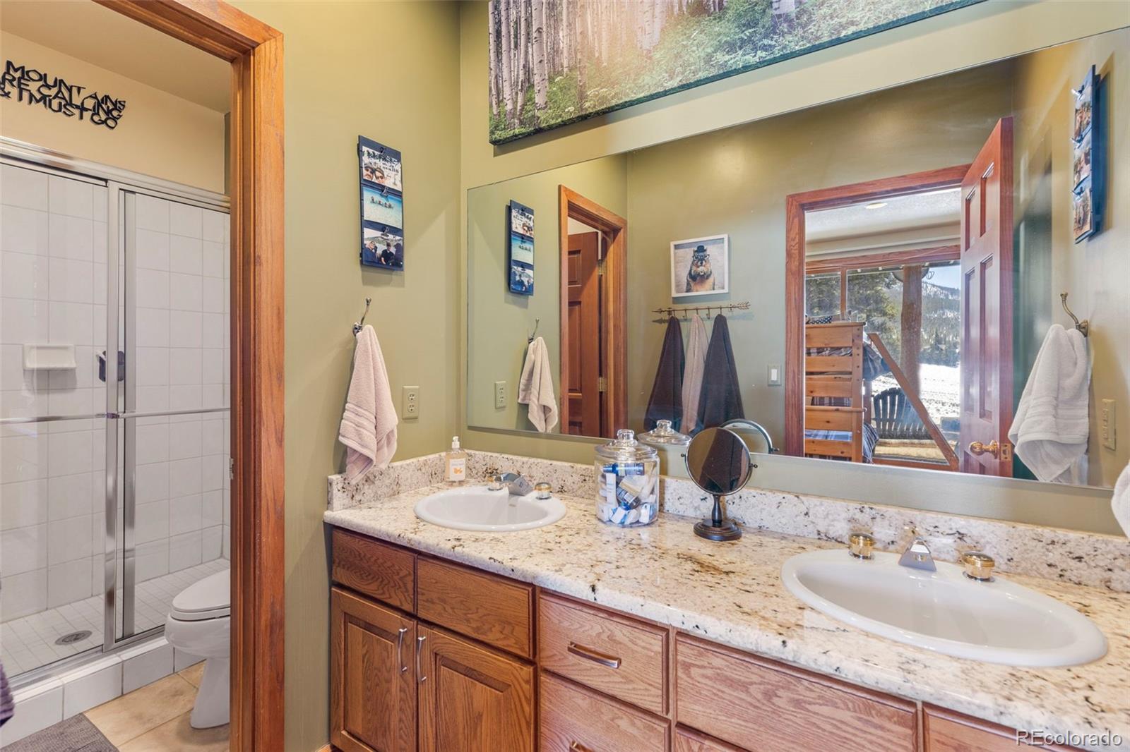 MLS Image #30 for 46  potentilla lane,keystone, Colorado