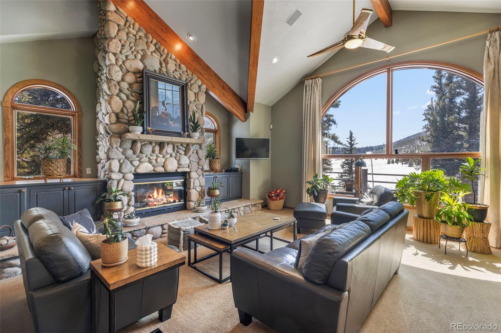 MLS Image #8 for 46  potentilla lane,keystone, Colorado