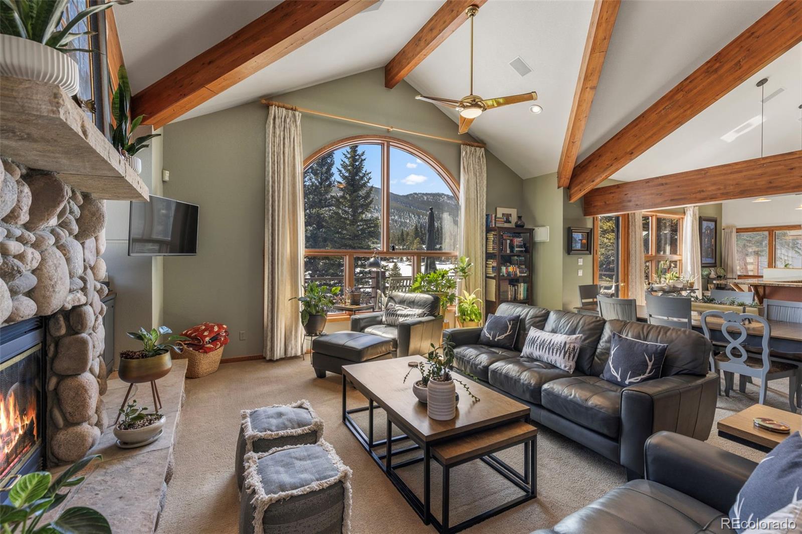 MLS Image #9 for 46  potentilla lane,keystone, Colorado