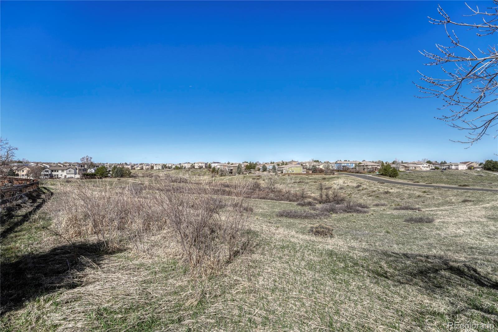 MLS Image #24 for 10101  astorbrook lane,highlands ranch, Colorado