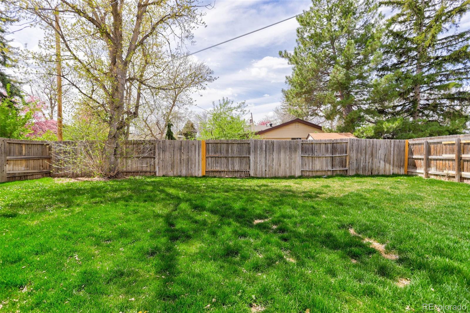 MLS Image #19 for 7226 s dexter street,centennial, Colorado