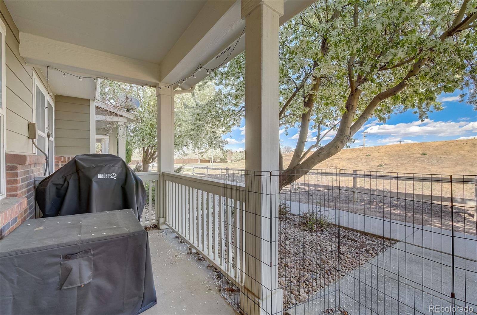 MLS Image #26 for 11959  riverstone circle,henderson, Colorado