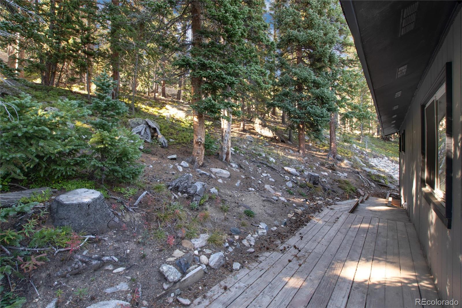 MLS Image #29 for 44  brook drive,idaho springs, Colorado