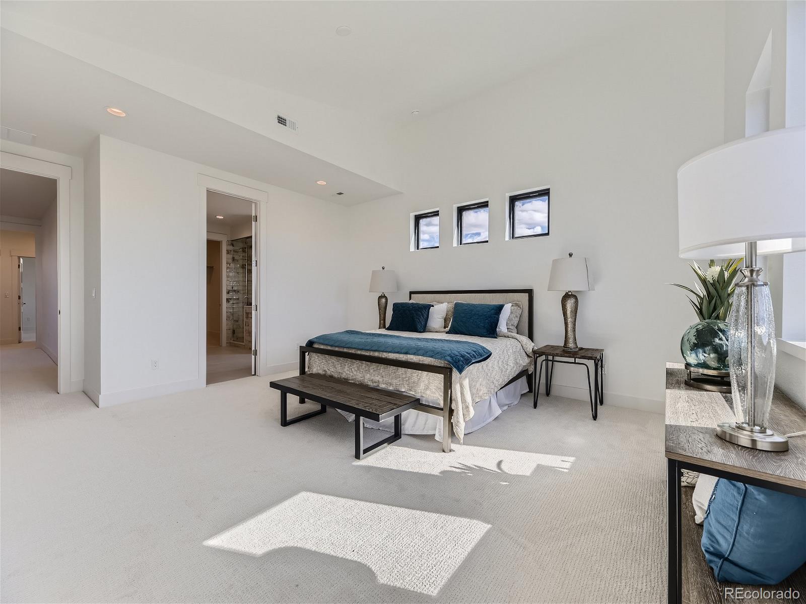 MLS Image #16 for 3534  running deer drive,castle rock, Colorado