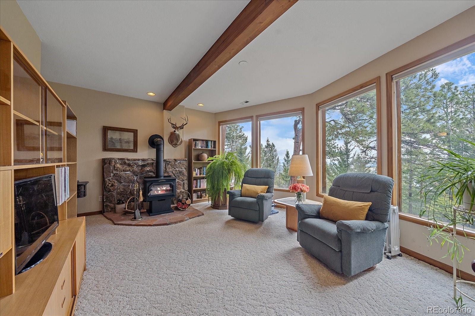 MLS Image #26 for 9288  fallen rock road,conifer, Colorado