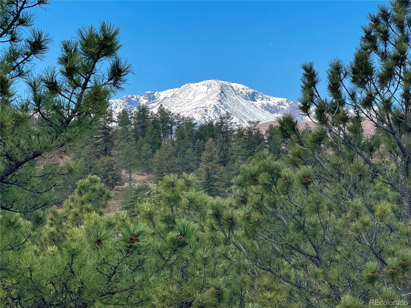 MLS Image #2 for 740  timber valley road,colorado springs, Colorado