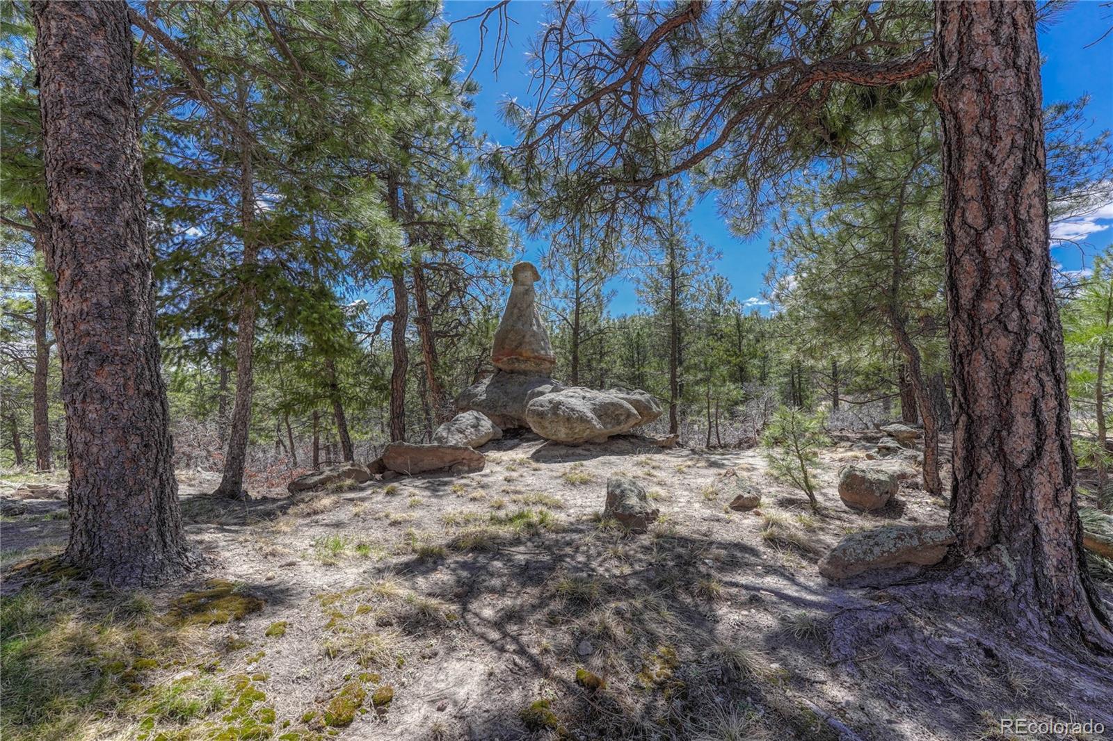MLS Image #41 for 740  timber valley road,colorado springs, Colorado