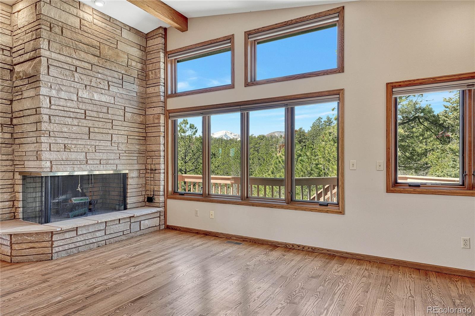 MLS Image #6 for 740  timber valley road,colorado springs, Colorado