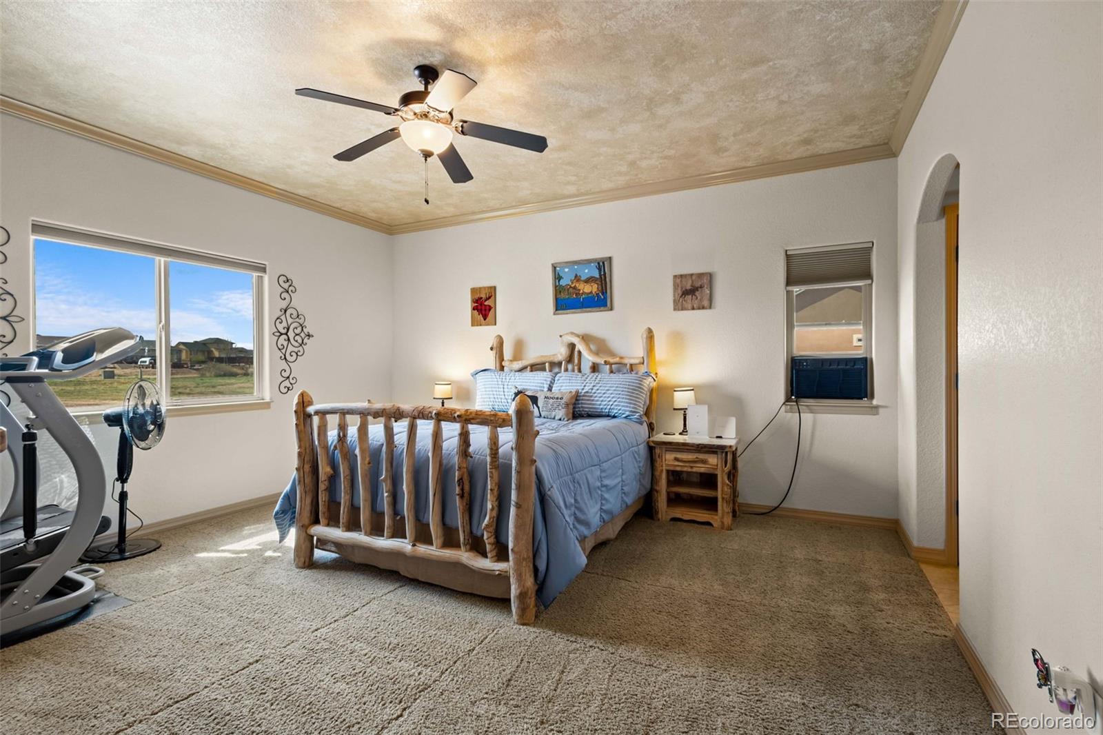 MLS Image #9 for 161  camino de los ranchos ,pueblo west, Colorado