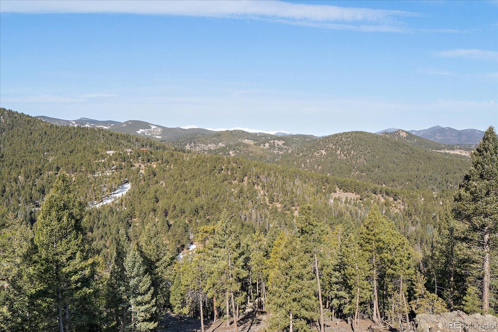 MLS Image #6 for 29704  meadow spur lane,evergreen, Colorado