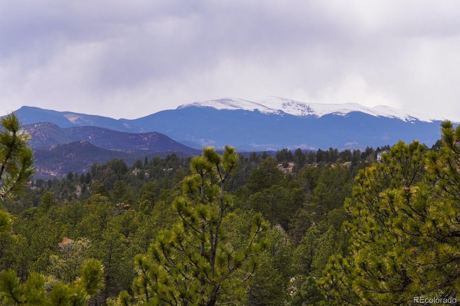 MLS Image #7 for 29704  meadow spur lane,evergreen, Colorado