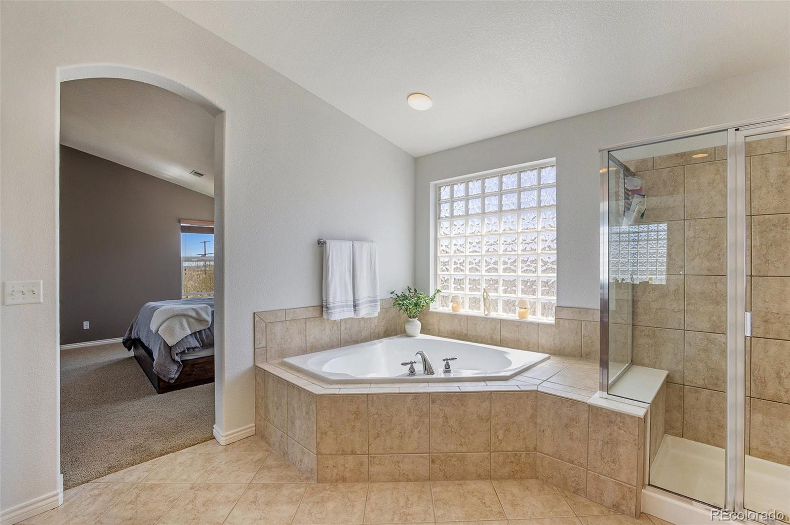 MLS Image #25 for 1062  titanite place,castle rock, Colorado