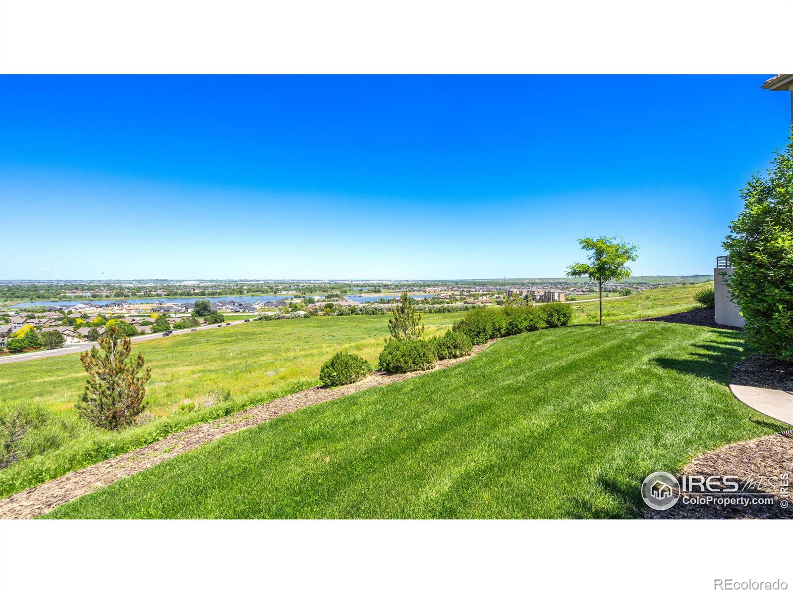 MLS Image #36 for 1175  falcon court,windsor, Colorado