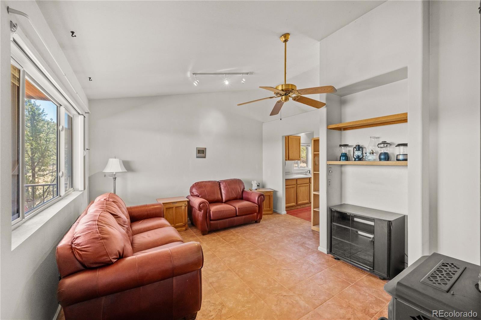 MLS Image #10 for 443  harmon drive,cotopaxi, Colorado