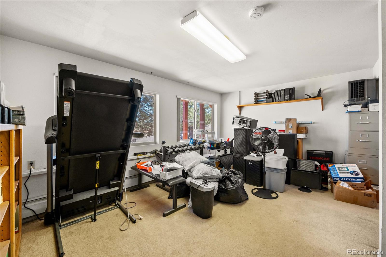 MLS Image #20 for 443  harmon drive,cotopaxi, Colorado