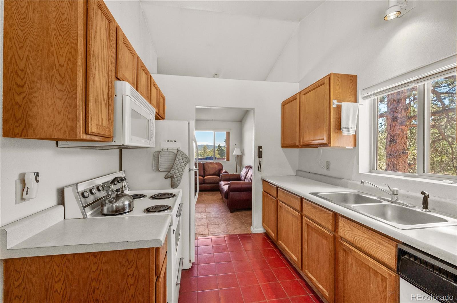 MLS Image #6 for 443  harmon drive,cotopaxi, Colorado