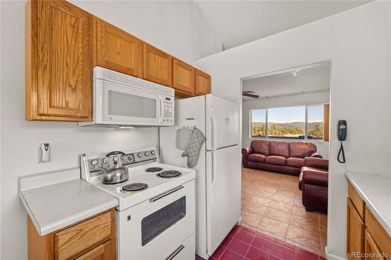 MLS Image #7 for 443  harmon drive,cotopaxi, Colorado