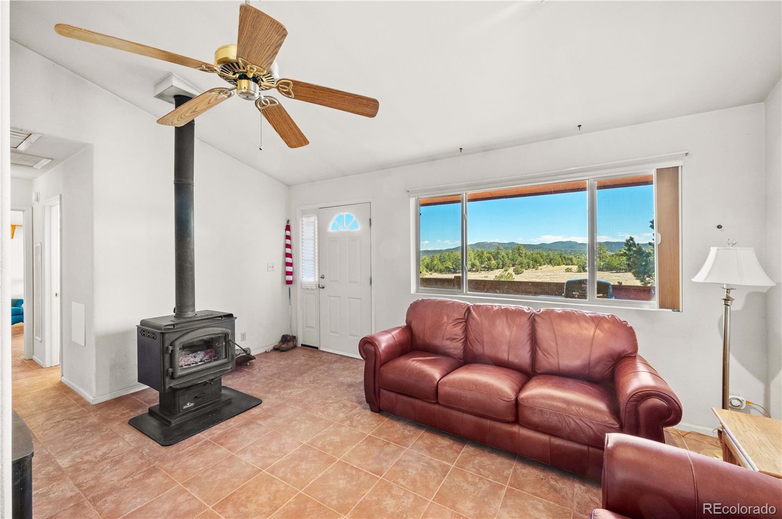 MLS Image #9 for 443  harmon drive,cotopaxi, Colorado