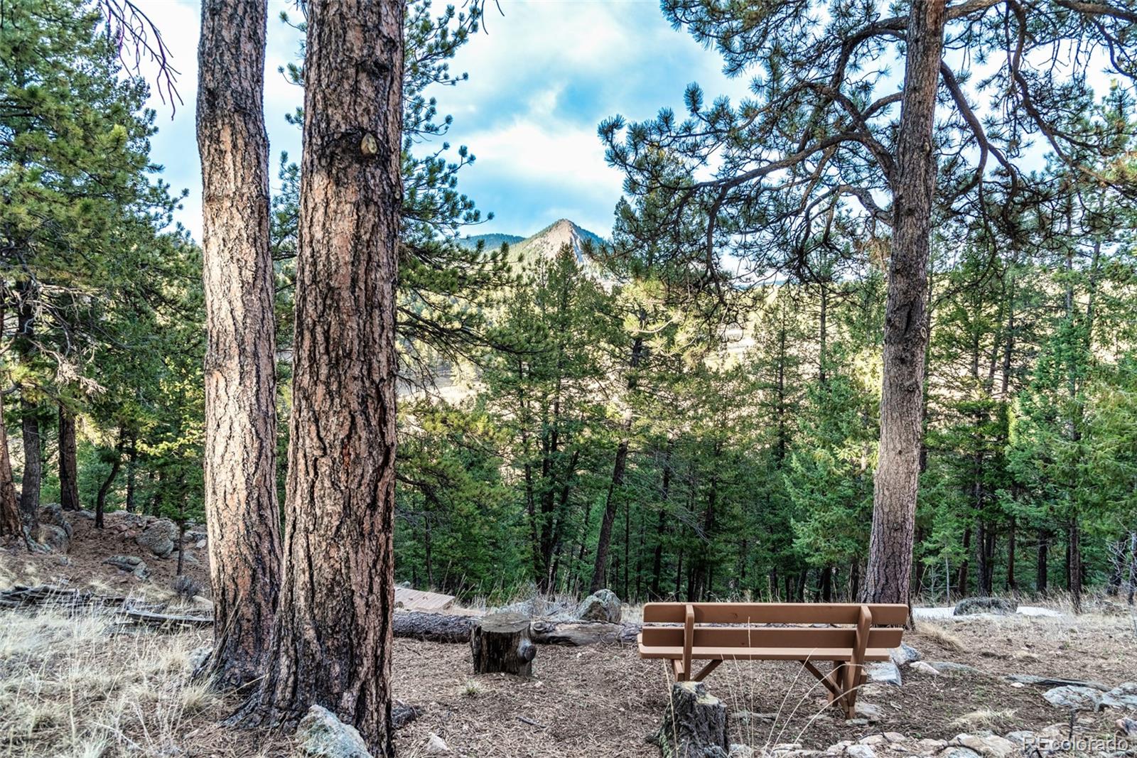 MLS Image #45 for 563  old corral road,bailey, Colorado