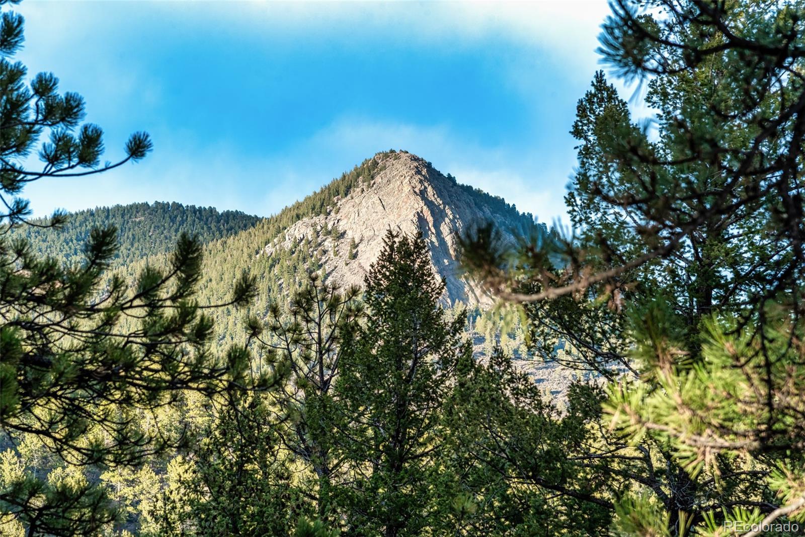 MLS Image #47 for 563  old corral road,bailey, Colorado