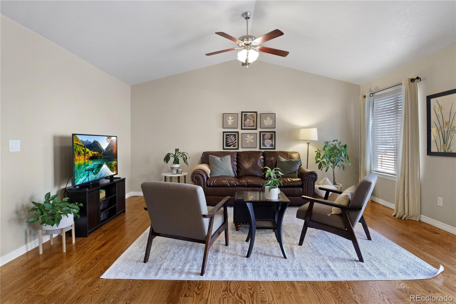 MLS Image #4 for 814  deschutes drive,colorado springs, Colorado