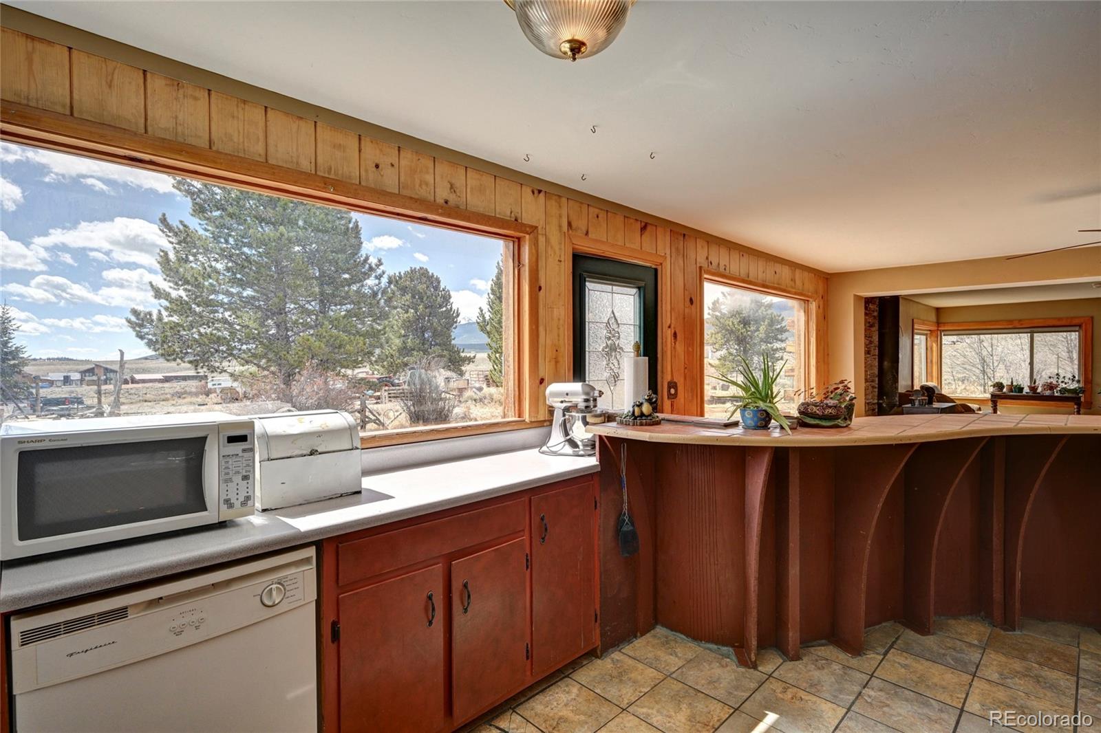 MLS Image #10 for 260  private drive,twin lakes, Colorado