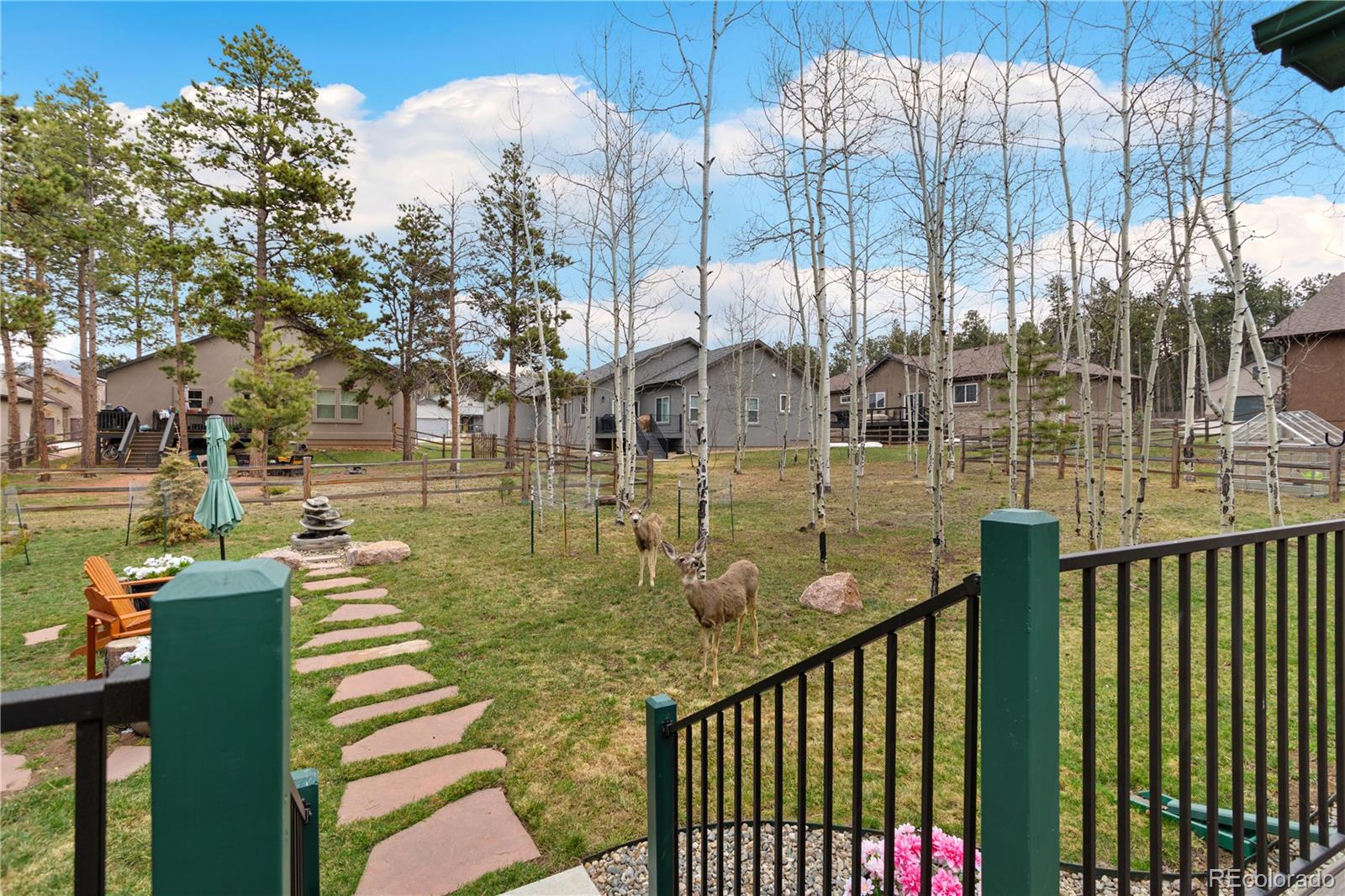 MLS Image #35 for 1175  ptarmigan drive,woodland park, Colorado