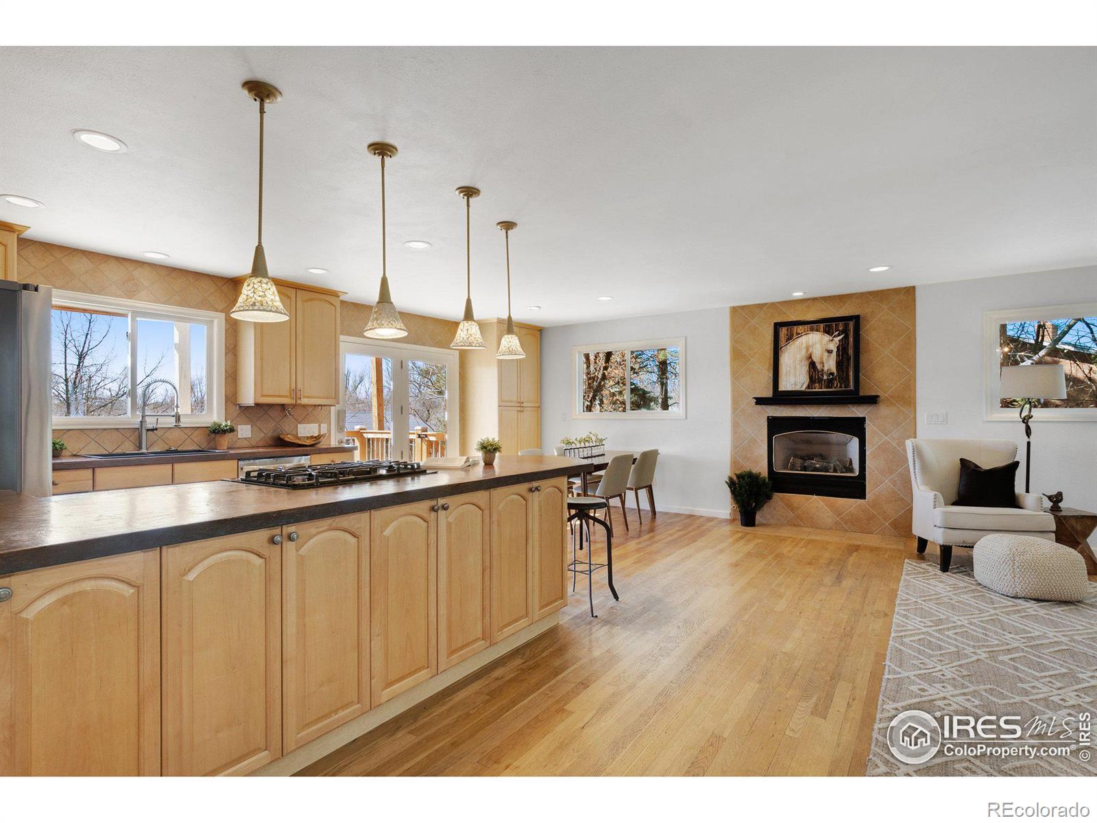 MLS Image #10 for 5534  pioneer road,boulder, Colorado