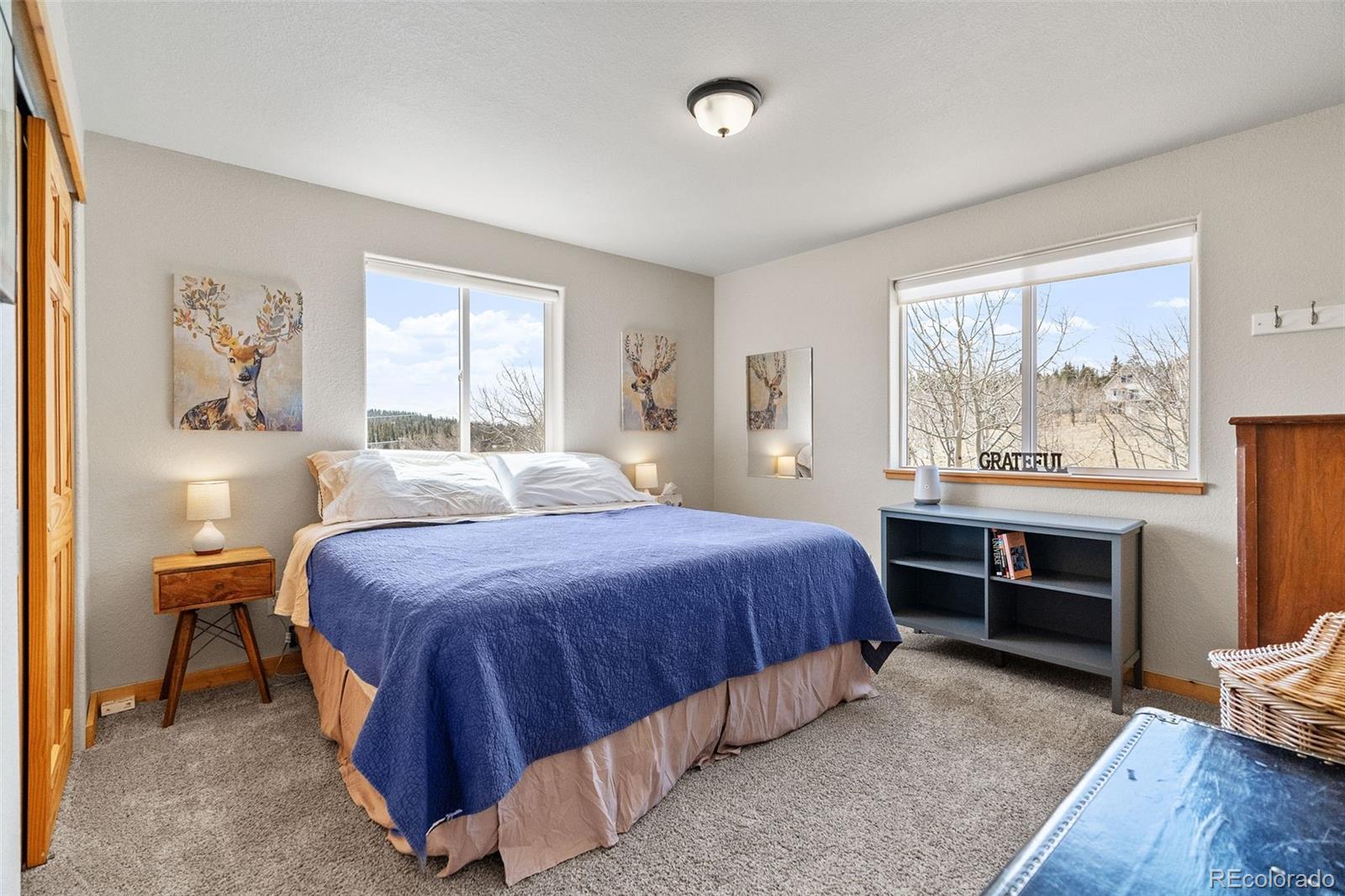 MLS Image #19 for 146  pueblo drive,jefferson, Colorado