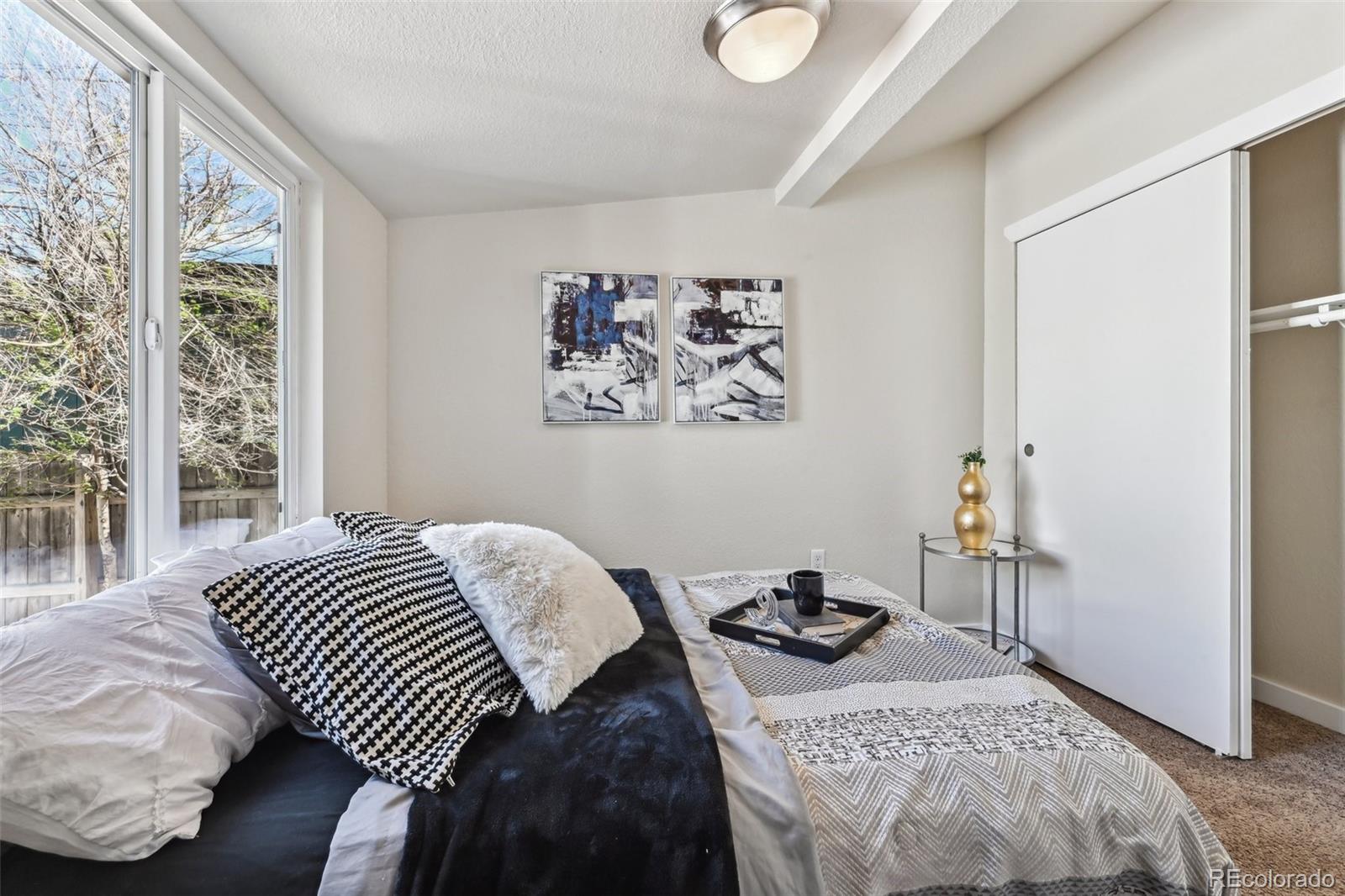 MLS Image #20 for 1110  mariposa street,denver, Colorado