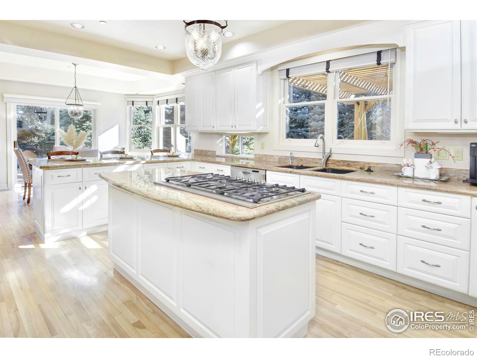 MLS Image #9 for 6504  daylilly court,niwot, Colorado