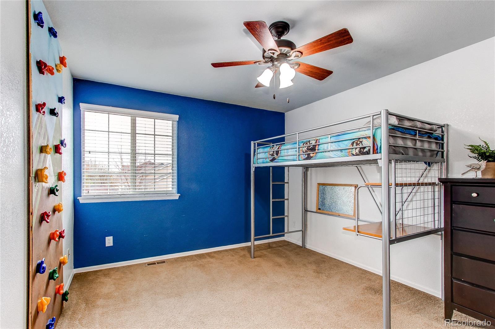 MLS Image #25 for 568  botley court,windsor, Colorado