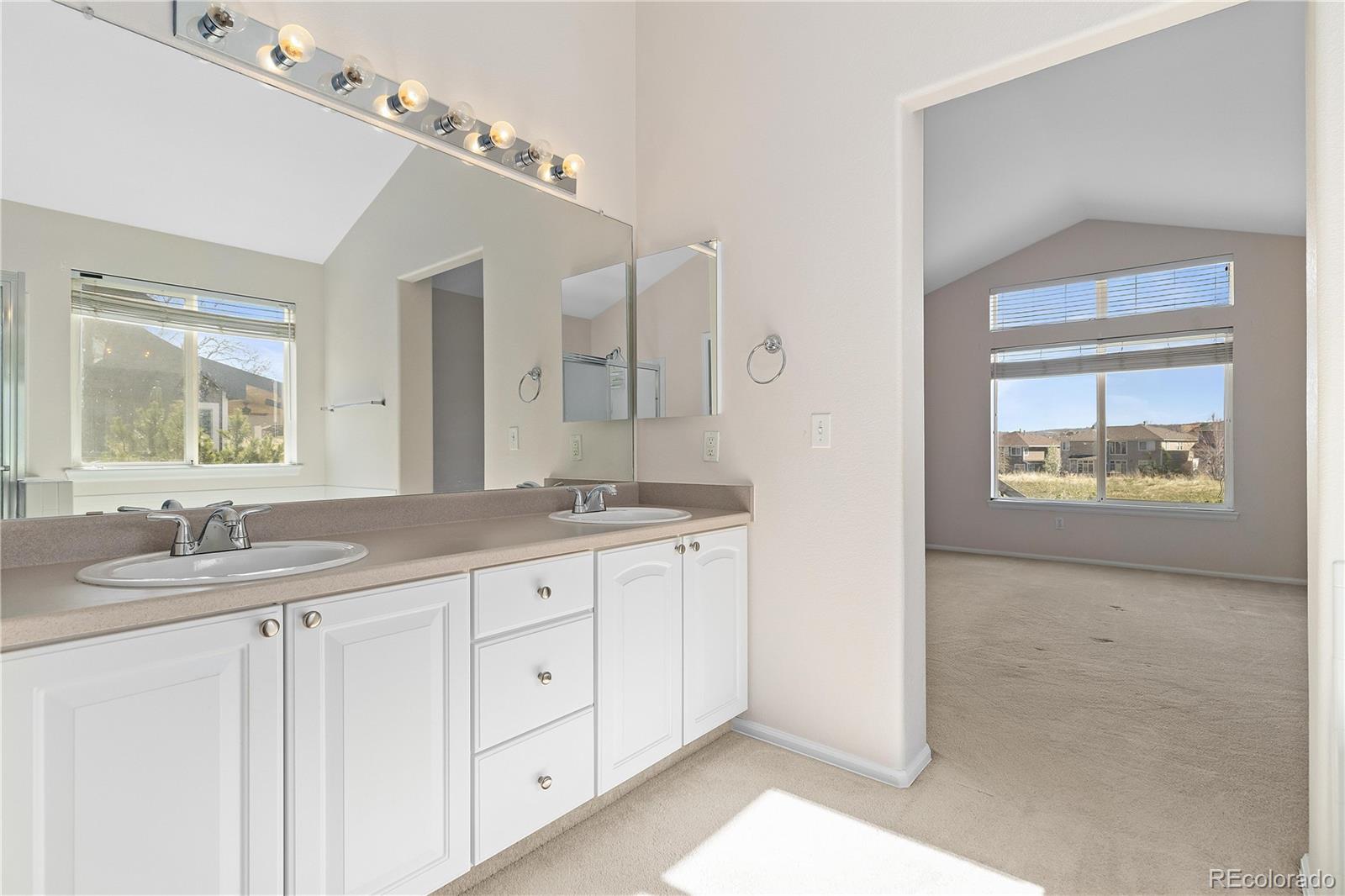 MLS Image #20 for 9079  goosander way,littleton, Colorado