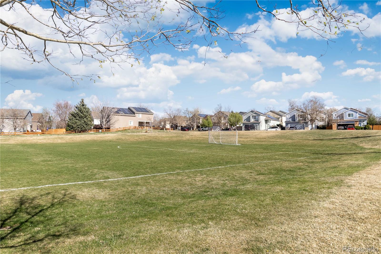 MLS Image #34 for 9079  goosander way,littleton, Colorado