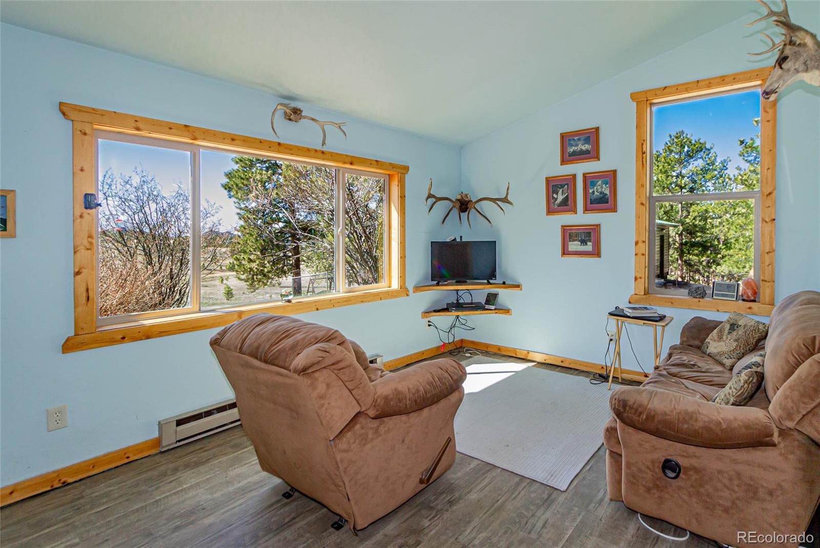 MLS Image #10 for 169  cascade circle,florissant, Colorado