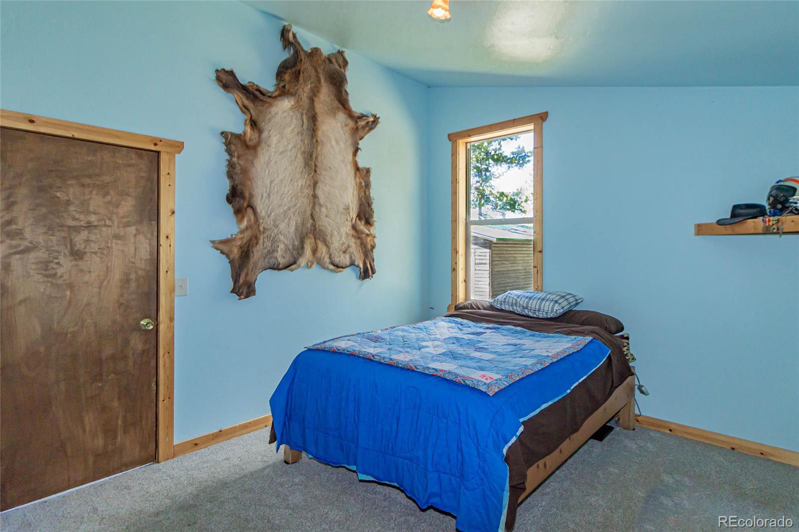 MLS Image #19 for 169  cascade circle,florissant, Colorado