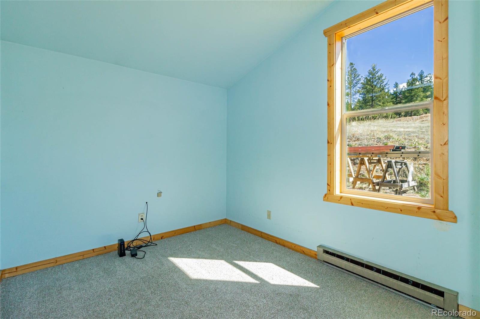 MLS Image #25 for 169  cascade circle,florissant, Colorado