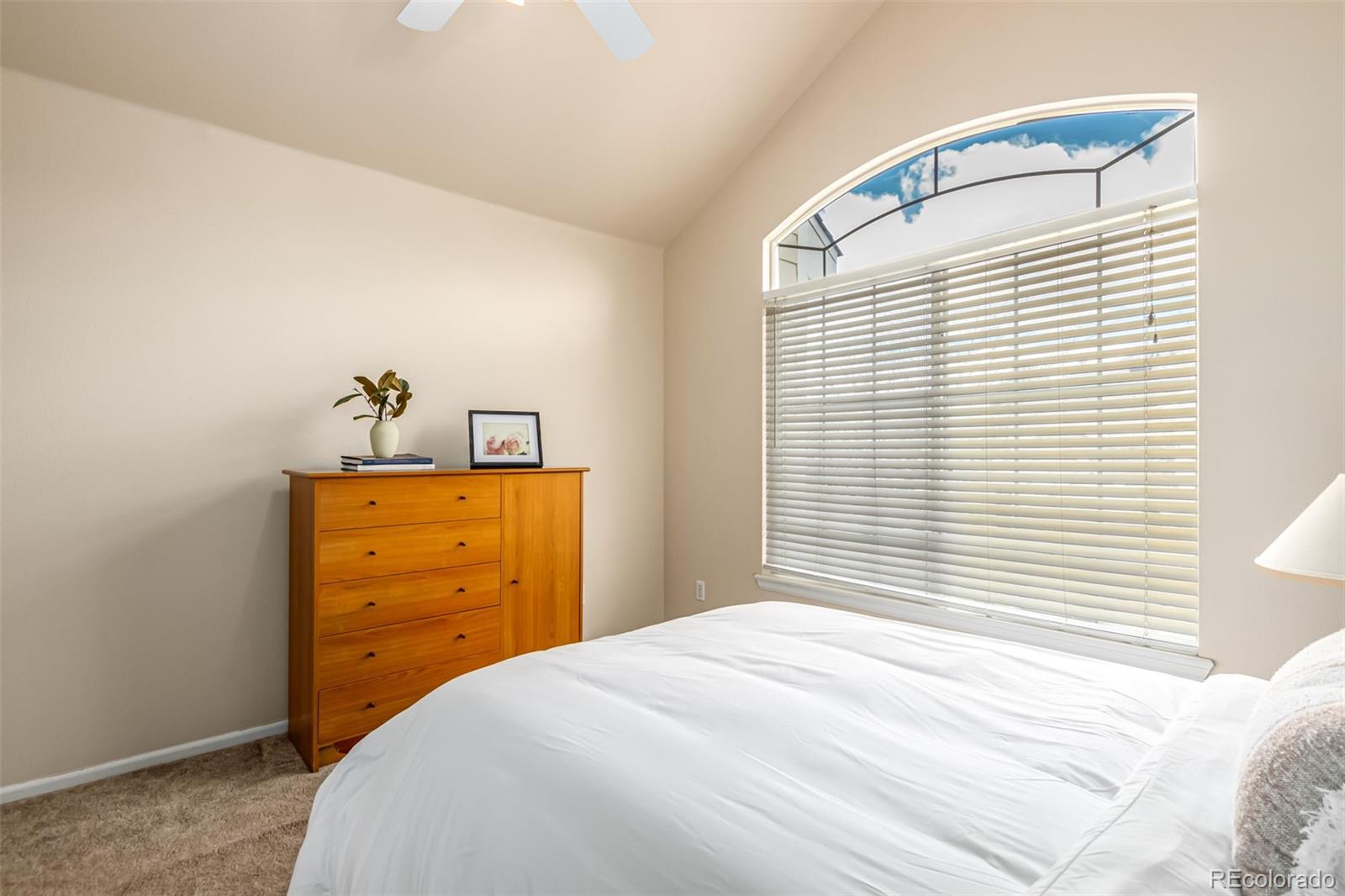 MLS Image #16 for 9043 w phillips drive,littleton, Colorado
