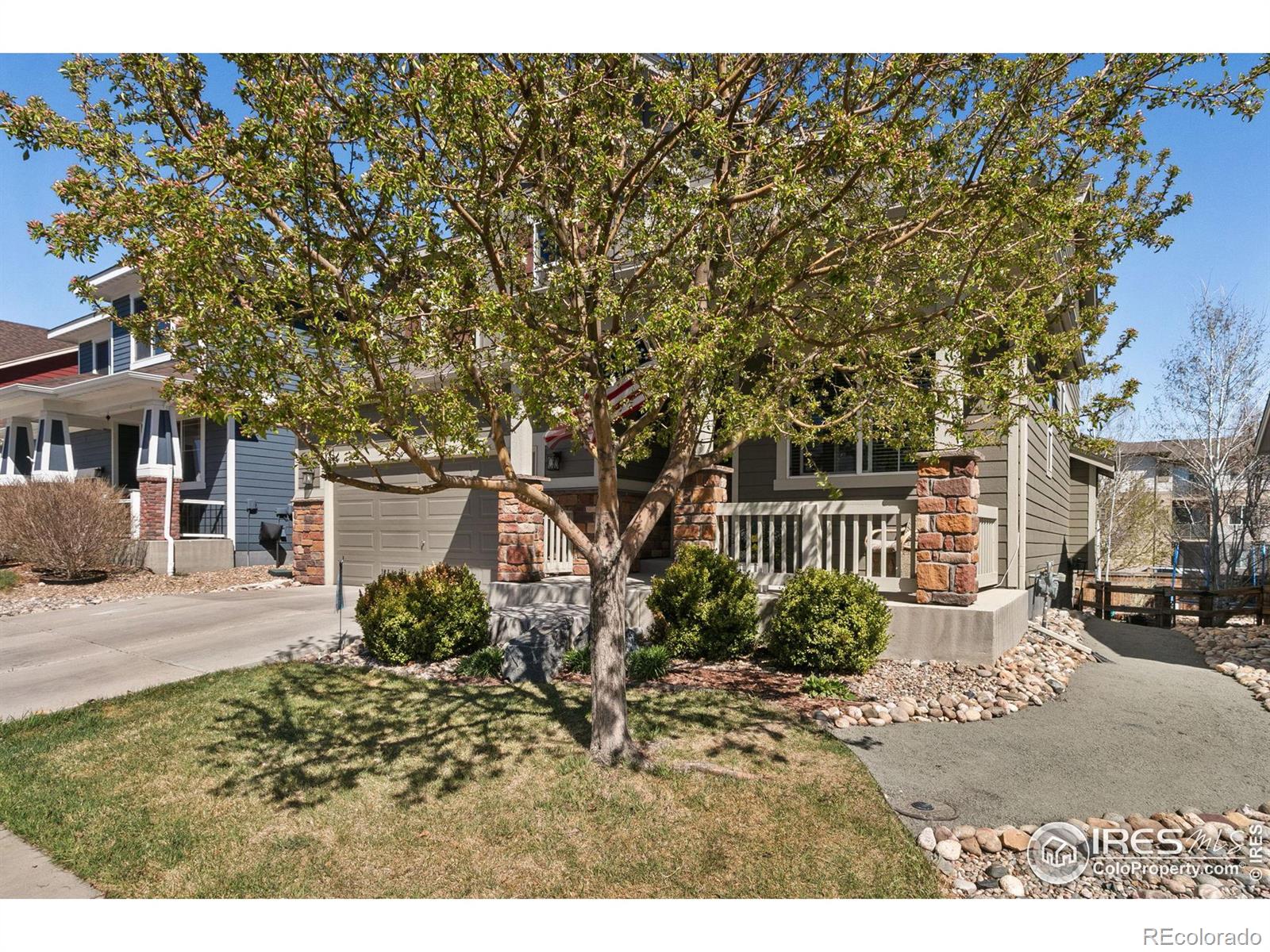 CMA Image for 3644  big dipper drive,Fort Collins, Colorado