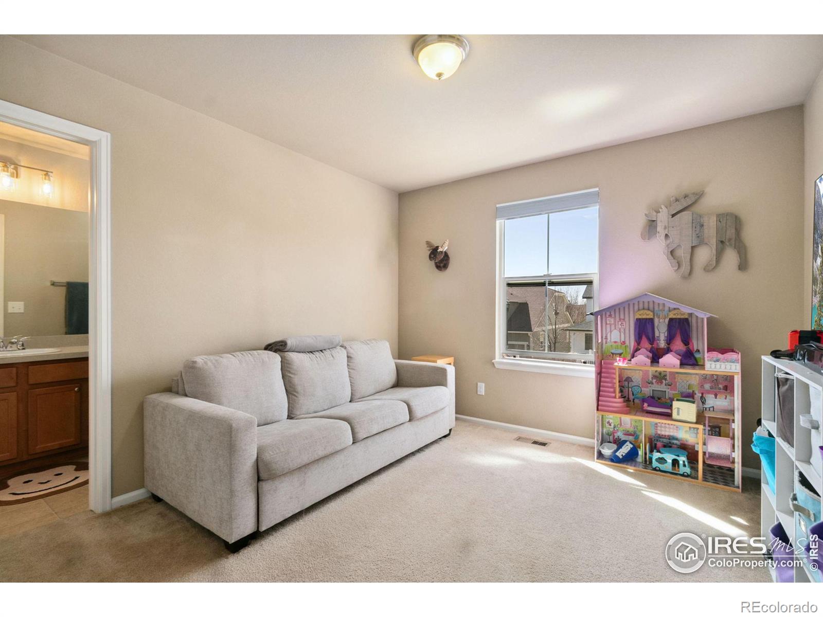 MLS Image #18 for 3632  voyager lane,fort collins, Colorado