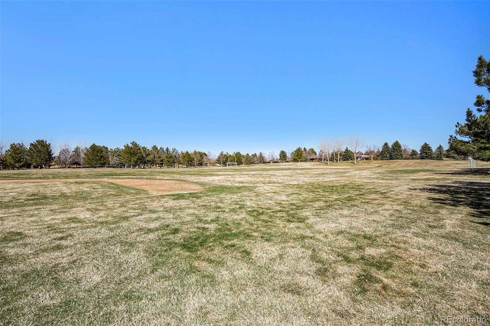 MLS Image #49 for 6426  silver mesa drive,highlands ranch, Colorado