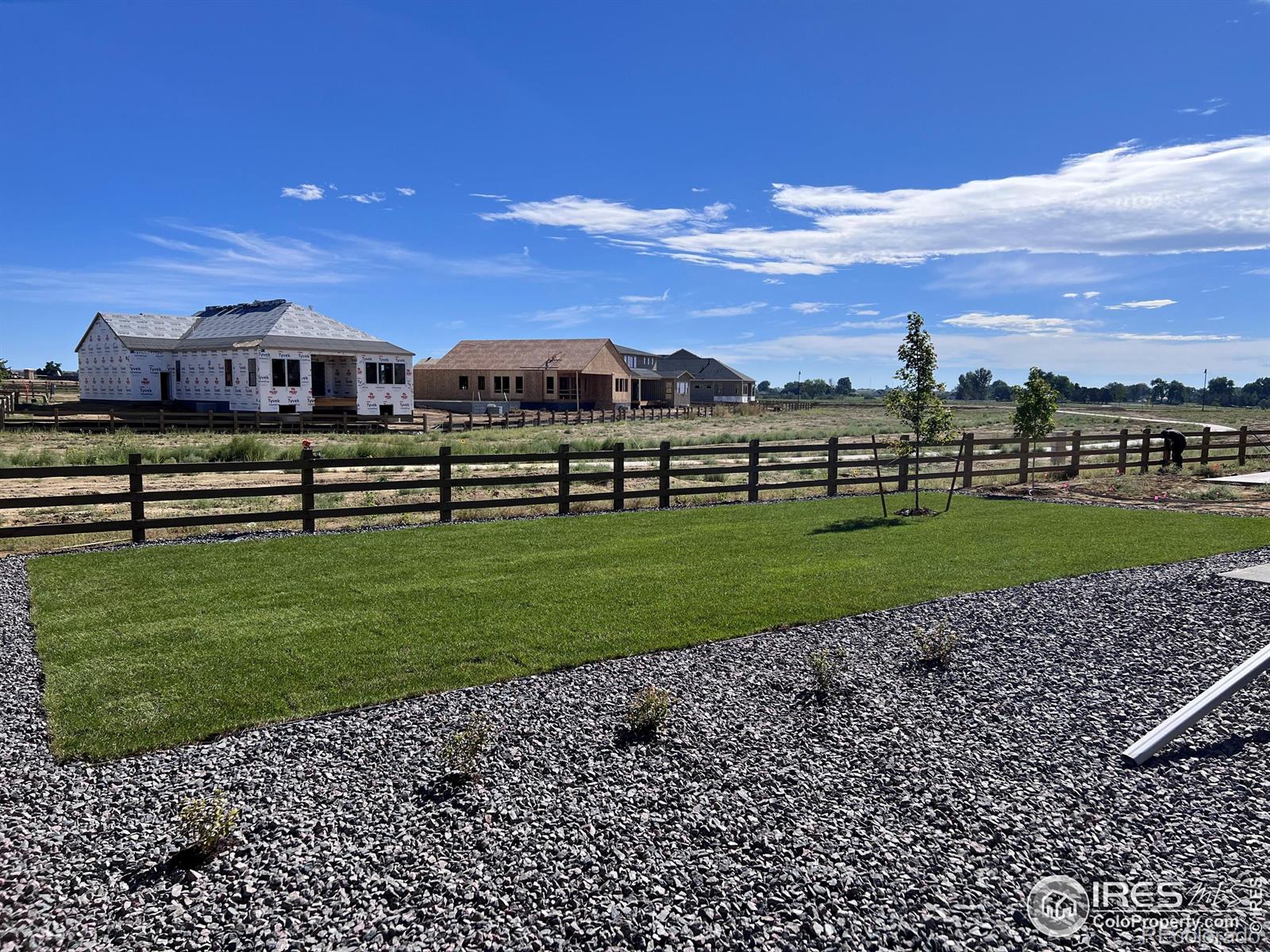 MLS Image #14 for 1328  alyssa drive,timnath, Colorado