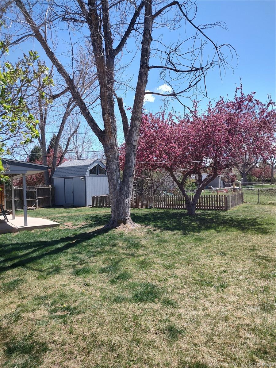 MLS Image #3 for 1988 e panama drive,centennial, Colorado