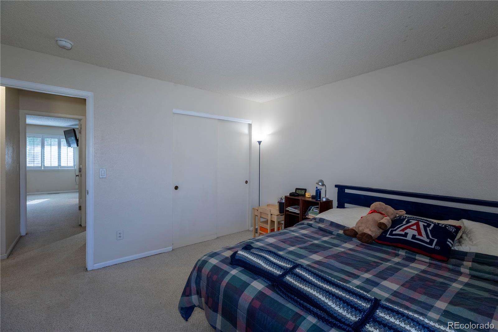 MLS Image #19 for 5568 s yampa street,centennial, Colorado