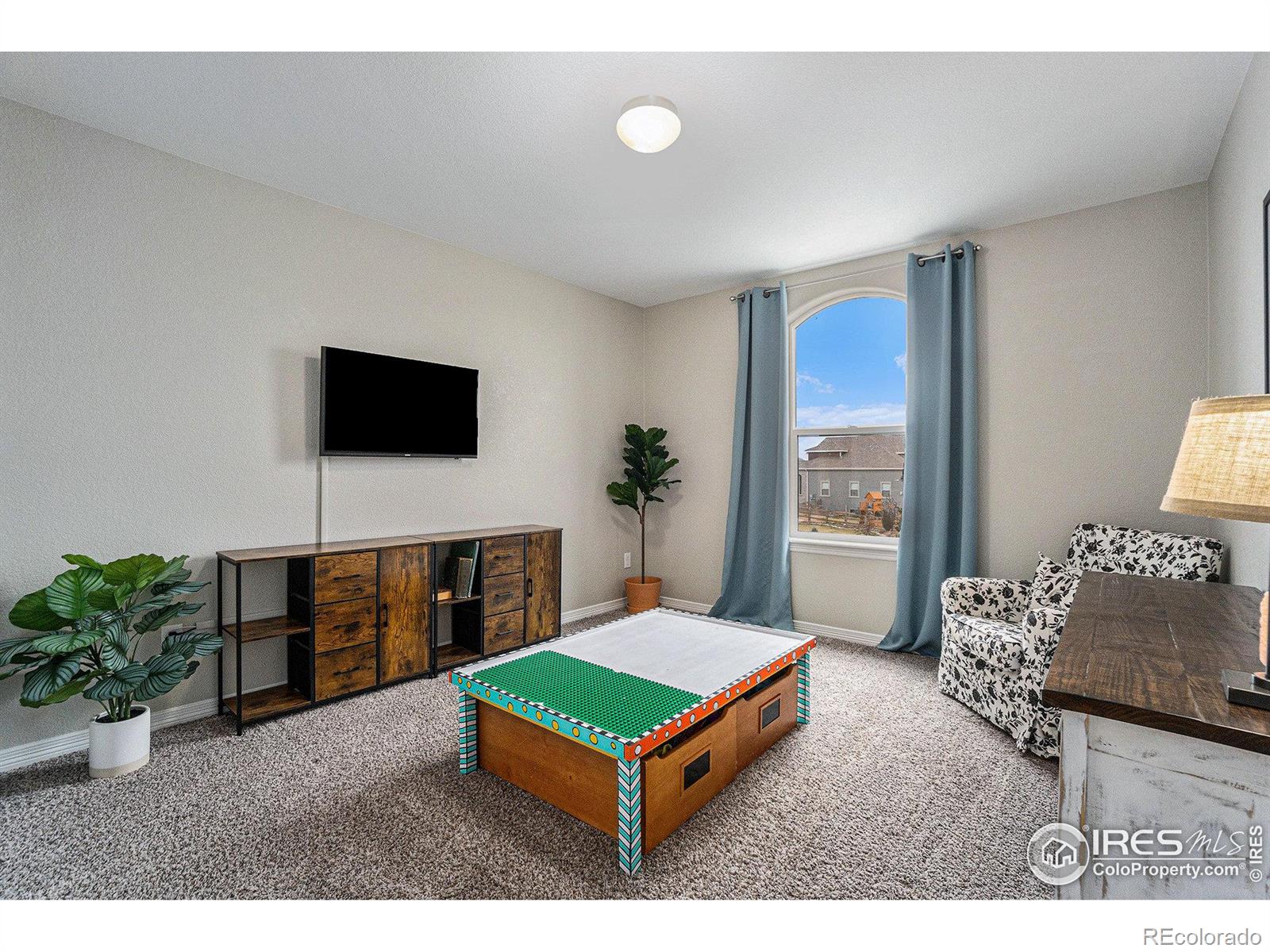 MLS Image #20 for 1384  waterfall street,timnath, Colorado