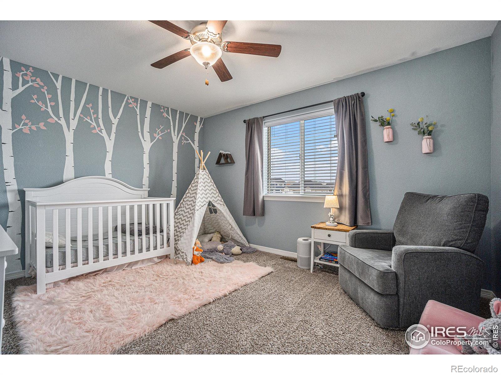 MLS Image #21 for 1384  waterfall street,timnath, Colorado