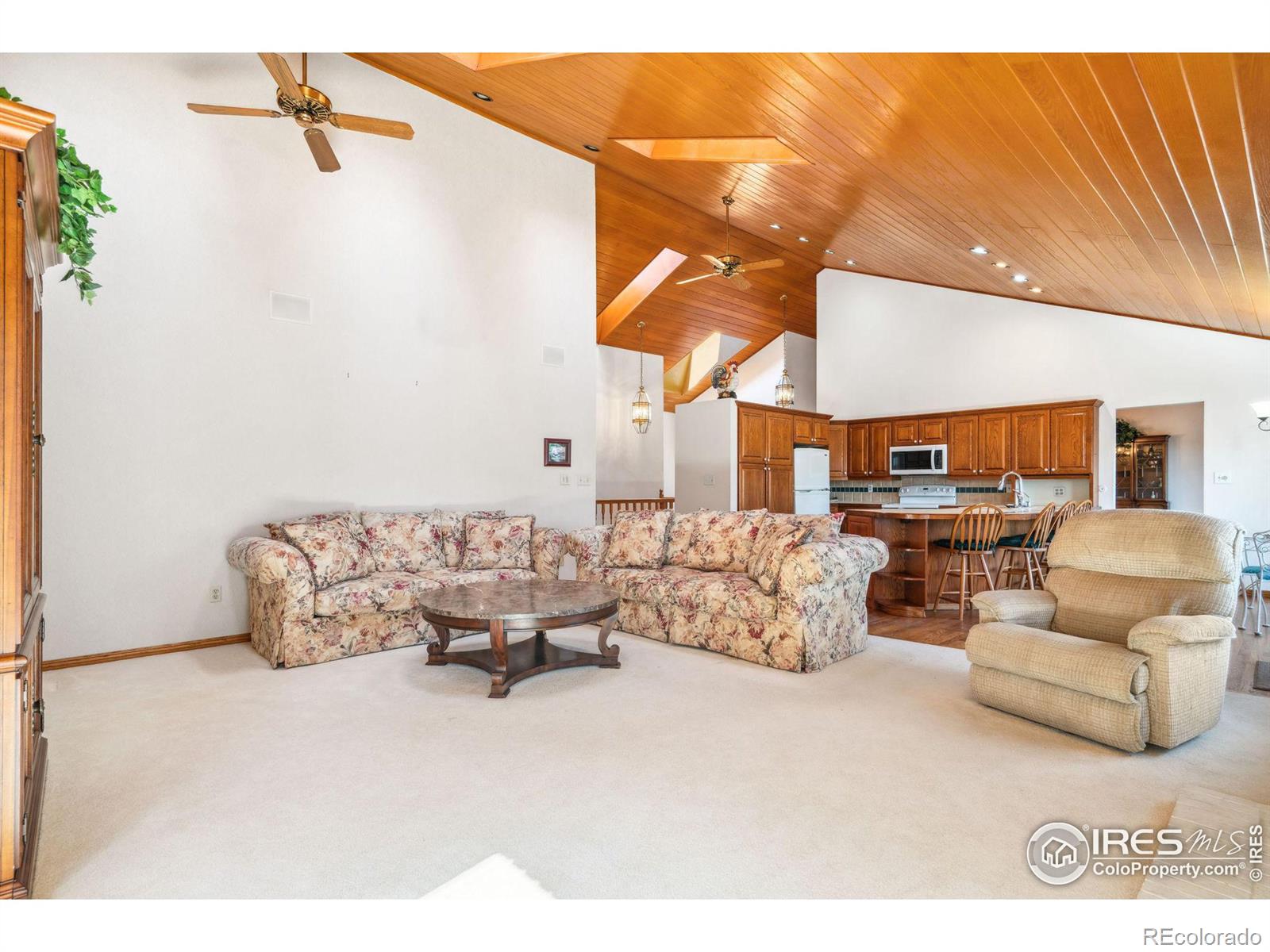 MLS Image #13 for 6558 s cook way,centennial, Colorado