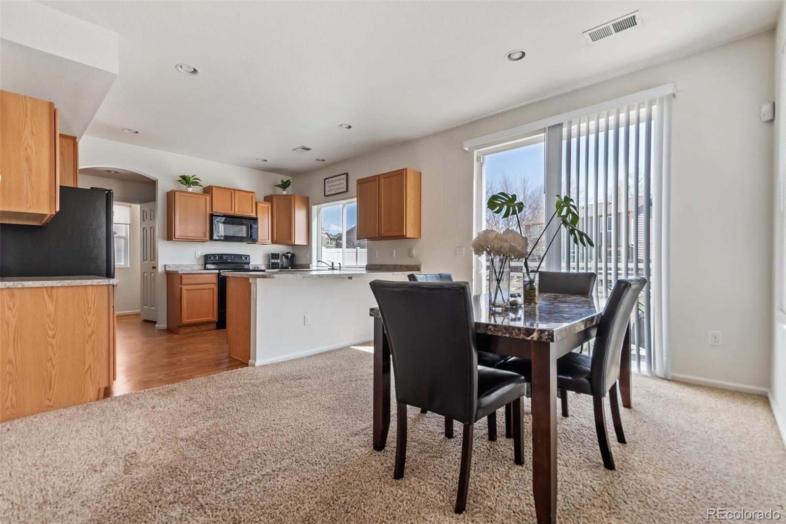 MLS Image #10 for 19098 e 47th drive,denver, Colorado